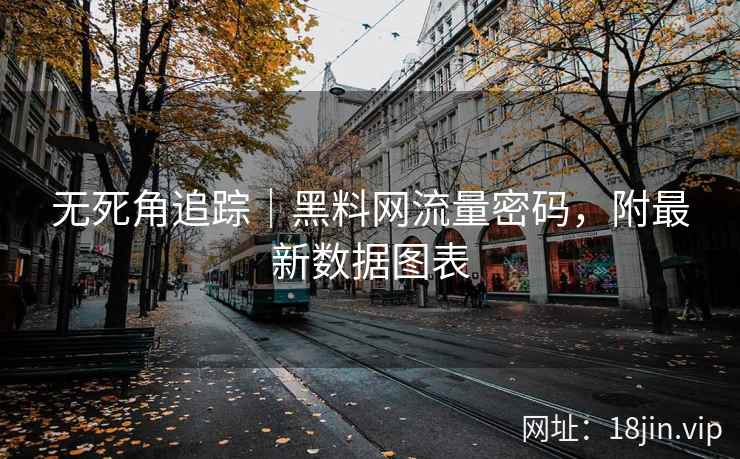 无死角追踪｜黑料网流量密码，附最新数据图表