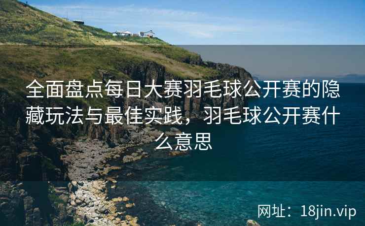全面盘点每日大赛羽毛球公开赛的隐藏玩法与最佳实践，羽毛球公开赛什么意思