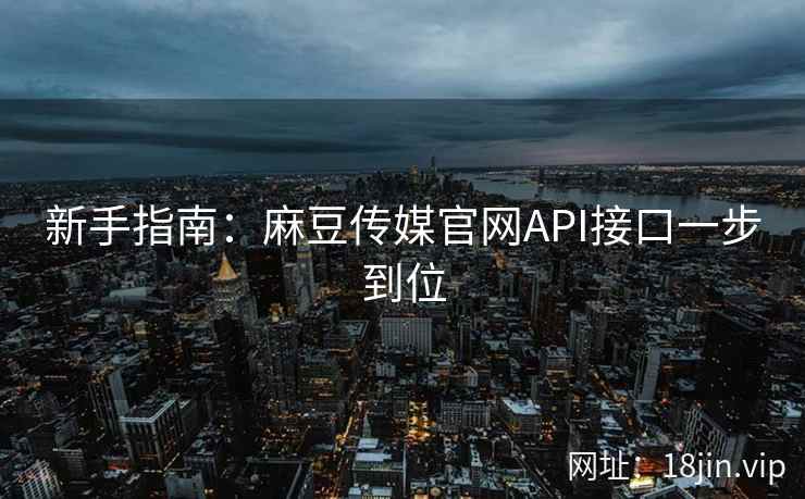 新手指南：麻豆传媒官网API接口一步到位